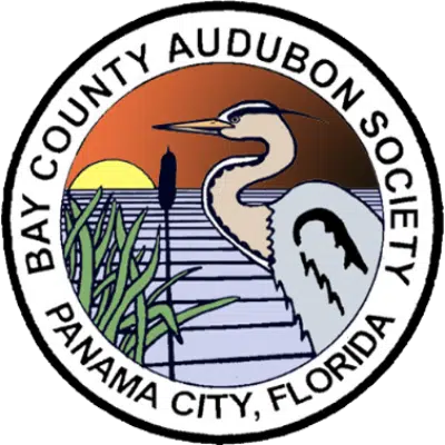 Bay Count Audubon Society Panama City, Florida colorful logo | Bay County Audubon Society is a local organization dedicated to the conservation and appreciation of birds and their habitats in the Bay County area.