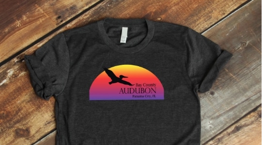 Bay Count Audubon Society Panama City, Florida colorful logo on gray tshirt | Bay County Audubon Society is a local organization dedicated to the conservation and appreciation of birds and their habitats in the Bay County area.